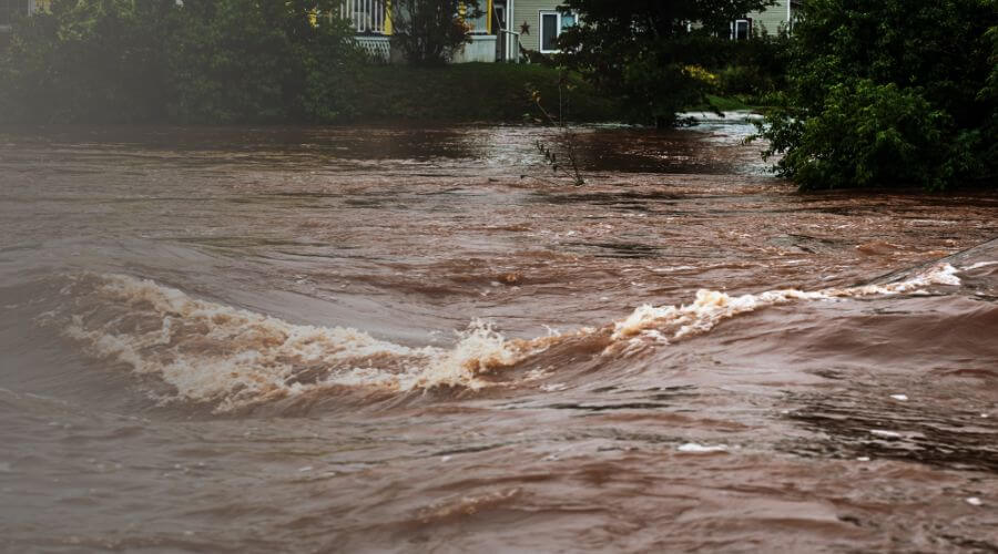 Why Choose Experienced Water Damage Restoration LLC